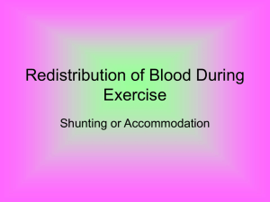 Redistribution of Blood During Exercise