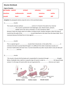 Topic 1 - Muscles_Workbook