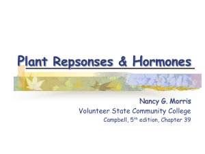 Plant Hormones - Volunteer State Community College