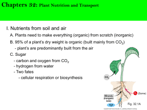 Chapters 32: Plant Nutrition and Transport