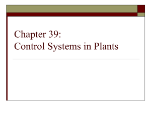 39 Plant Control