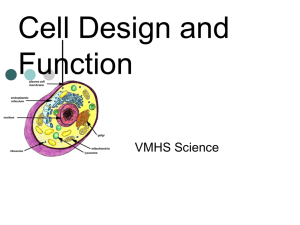 Cell Design and Function