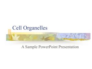 Cell Organelles: a PowerPoint Presentation