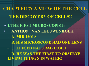 CHAPTER 7: A VIEW OF THE CELL
