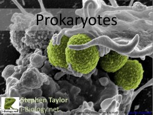 Prokaryotic Cell Parts