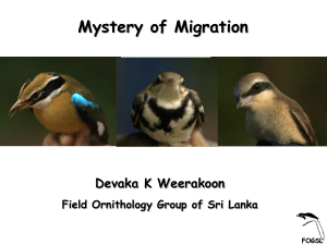 Mystery of Migration – Presentation by Prof.Devaka Weerakoon