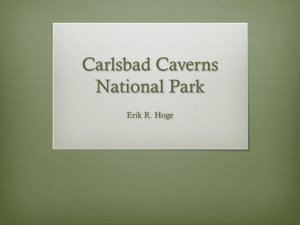 Carlsbad Caverns National Park - Brown