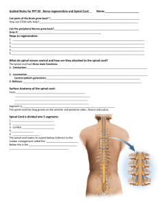 Guided Notes for PPT #3 Nerve regeneration and Spinal Cord