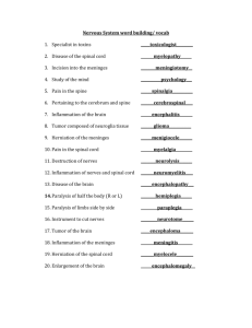 Nervous Sysetem 2014 answer sheet