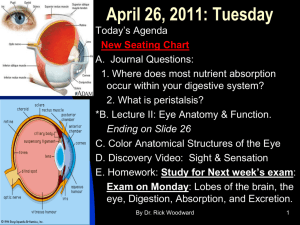 Lecture II (PowerPoint) "Functional Anatomy of the Eye"