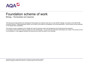 Foundation scheme of work