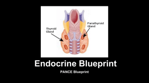 Endocrine Blueprint Lecture Slides PPT