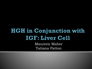 HGH in conjunction with IGF: Liver Cell