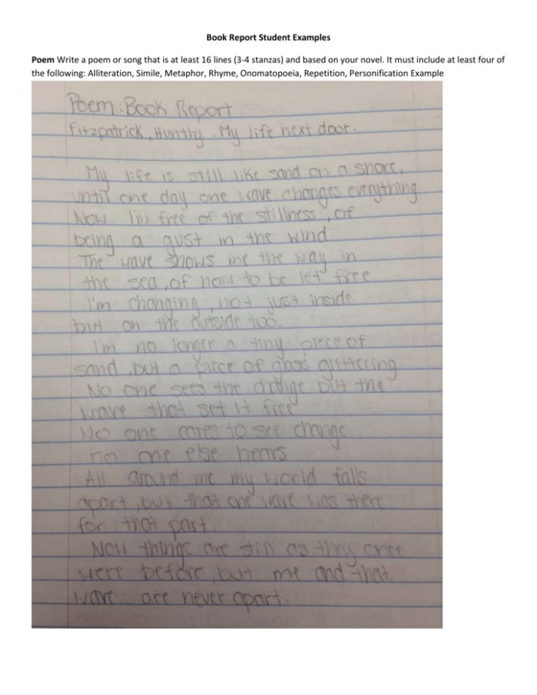 Story Book Report In English