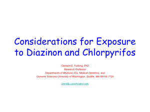 Considerations for Exposure to Diazinon