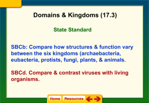 Domains & Kingdoms Notes (17.3)