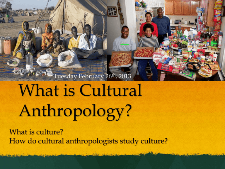 case study in cultural anthropology