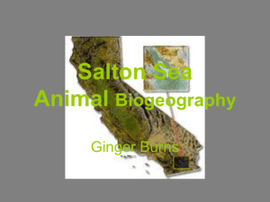 Salton Sea Biogeography