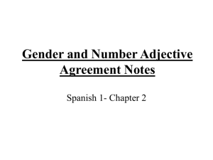 Gender and Number Adjective Agreement Notes