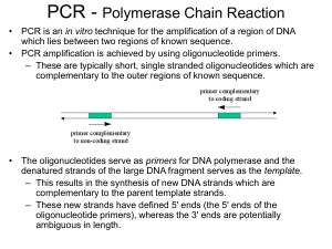 PCR - Polymerase Chain Reaction