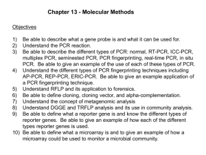 Chapter 13 nucleic