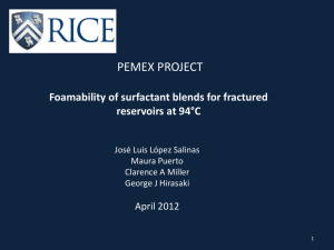 Jose Luis Lopez Salinas - Rice University Consortium for Processes