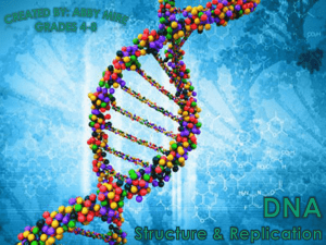 DNA Structure and Replication Powerpoint