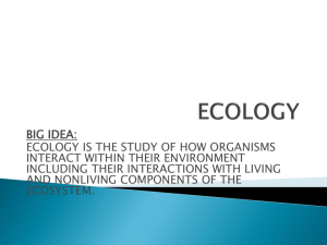 Ecology-Vocabulary