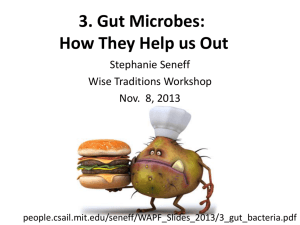 3. Gut Microbes: How they help us out