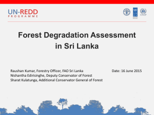 Forest Degradation in Sri Lanka