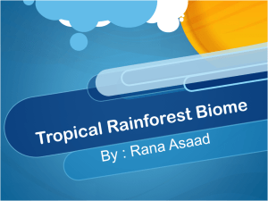 Tropical Rainforest Biome - 18-119