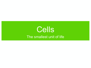 Ch5-Cells-New