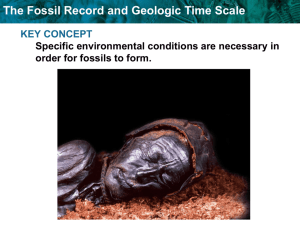 The Fossil Record and Geologic Time Scale