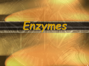 Enzymes - Falcon Science
