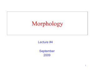 Morphology - Computer and Information Sciences