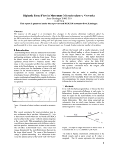 Biphasic Blood Flow in Mesentery Microcirculatory Networks