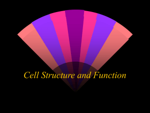 Cell Structure and Function