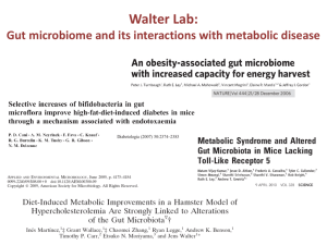 Peterson Laboratory: Inflammation, Immunity and Metabolic Syndrome
