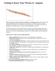 Getting to Know Your Worms (C. elegans)