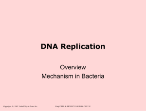 DNA polymerase I