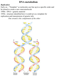 DNA Metabolism