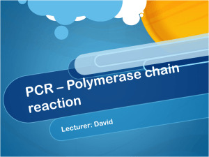 PCR * Polymerase chain reaction