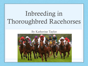 Inbreeding in Thoroughbred Racehorses