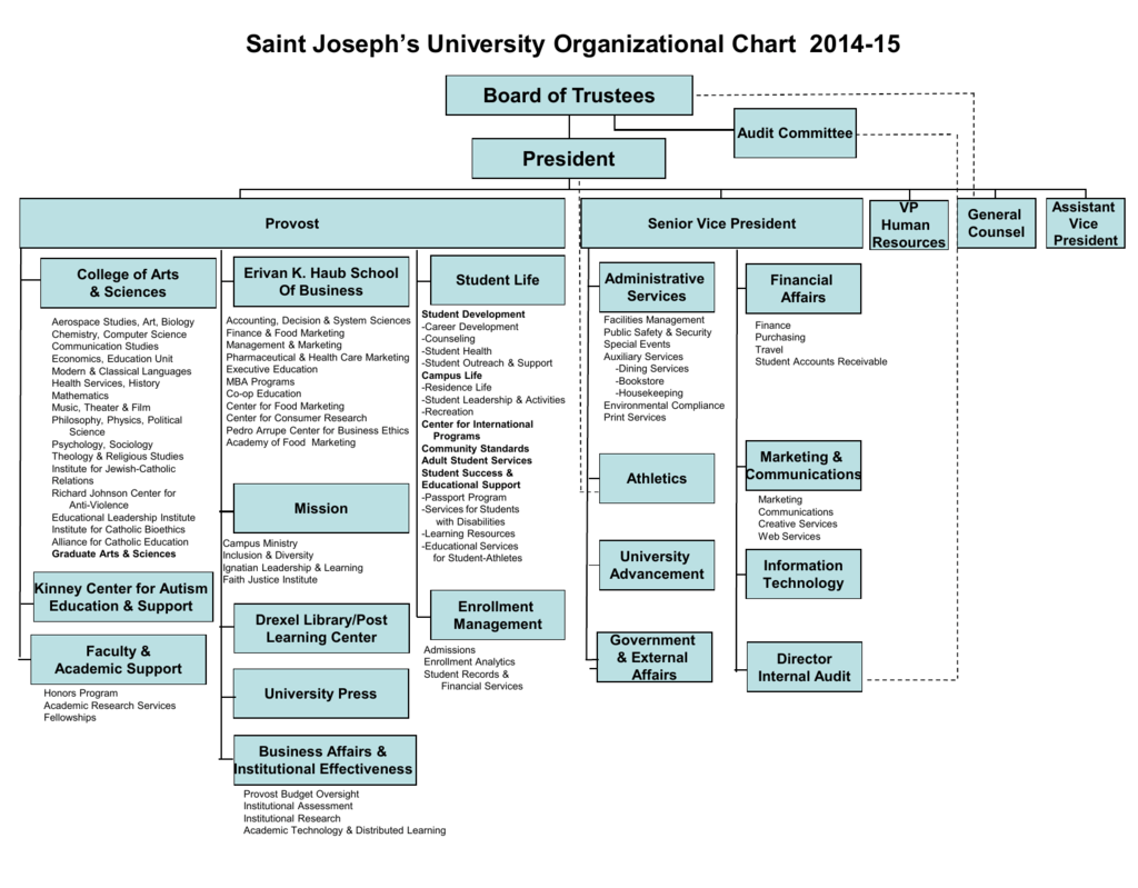 Healthcare Marketing Organizational Chart