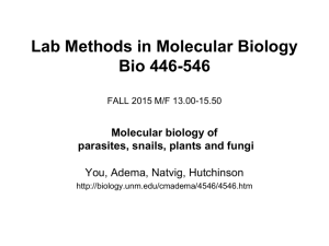 Lab Methods in Molecular Biology Bio 446