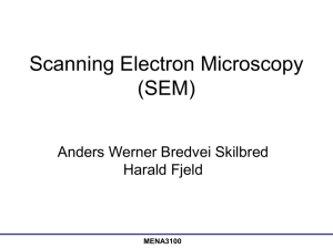 Scanning Electron Microscopy (SEM)