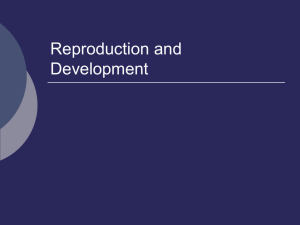 Cell, Cell Reproduction, and Development
