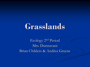 Grasslands Project