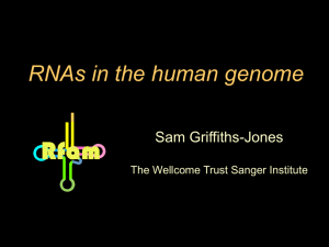 …. and the RNA world