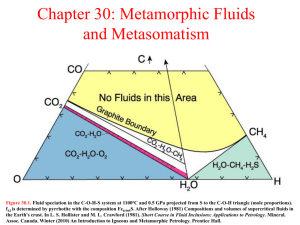 Chapter 30: Fluids and Metasomatism